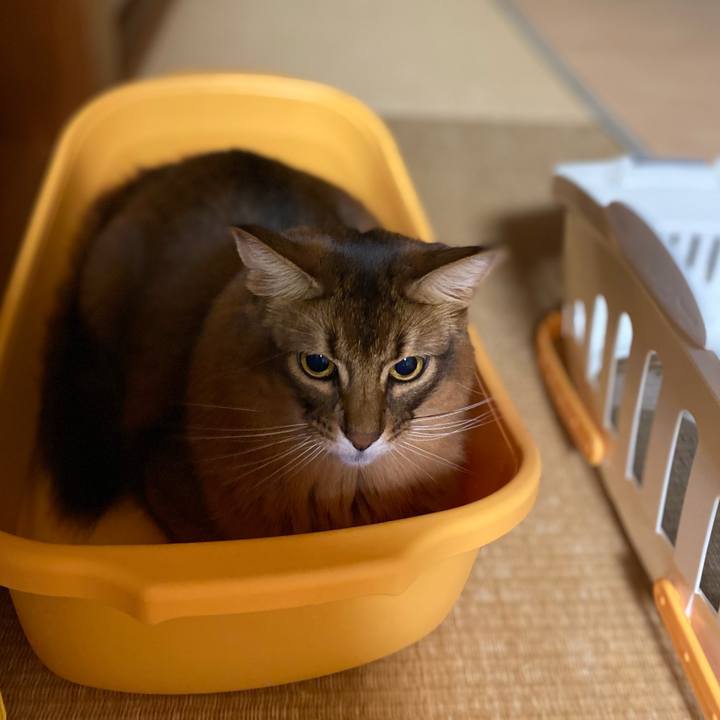 9c26b515 be55 4b09 9f58 3730f48aaf4d 1665526561924