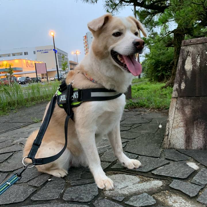 9c26b854 1da1 44e3 888d c11373cc119f 1594476759171