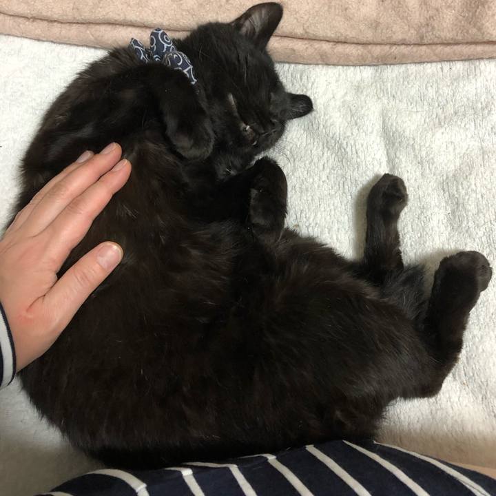 9c26f328 9d5f 4035 9def b00606eee029 1554815902186