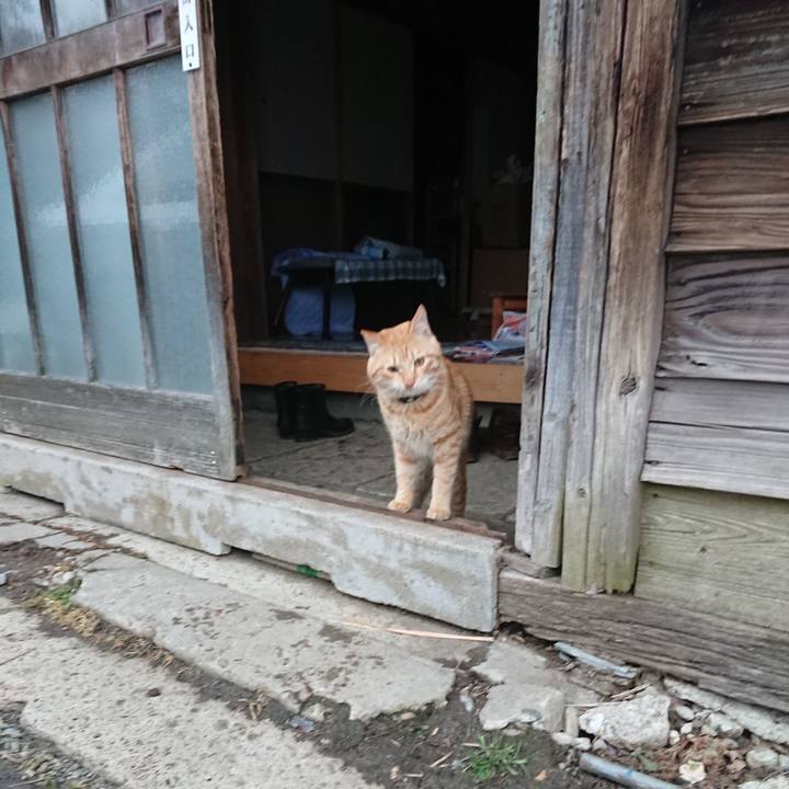 9c26fa3b d46f 4427 b27e 9df867f24c51 1648244406708