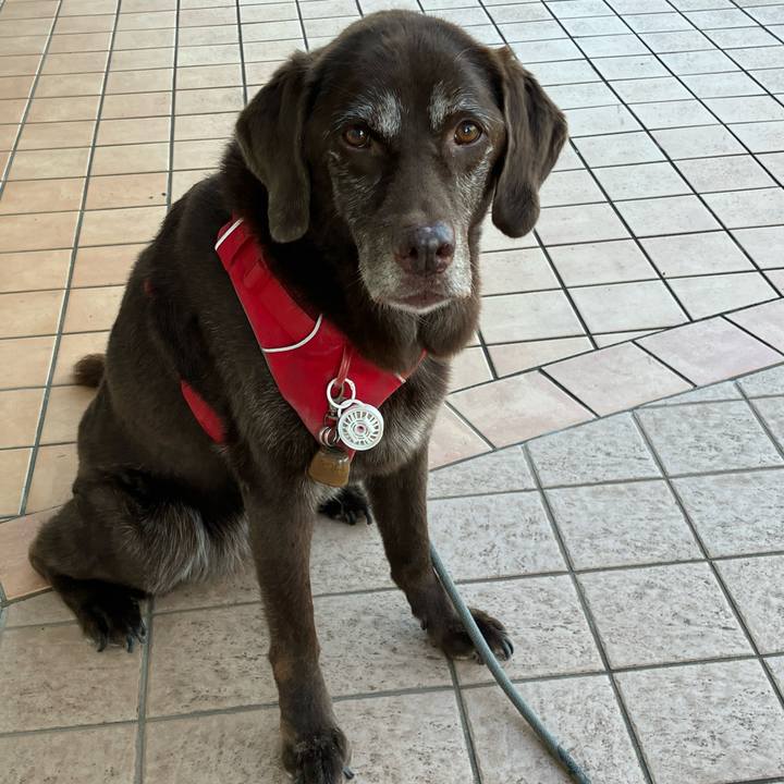 9c2712cc 1713 47b5 82ea 3aee9d0c520b 1759534002247