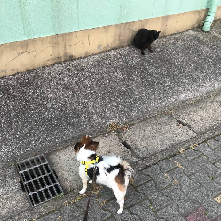 9c271794 0f89 4dbd b283 86800185b5ed 1528062862384