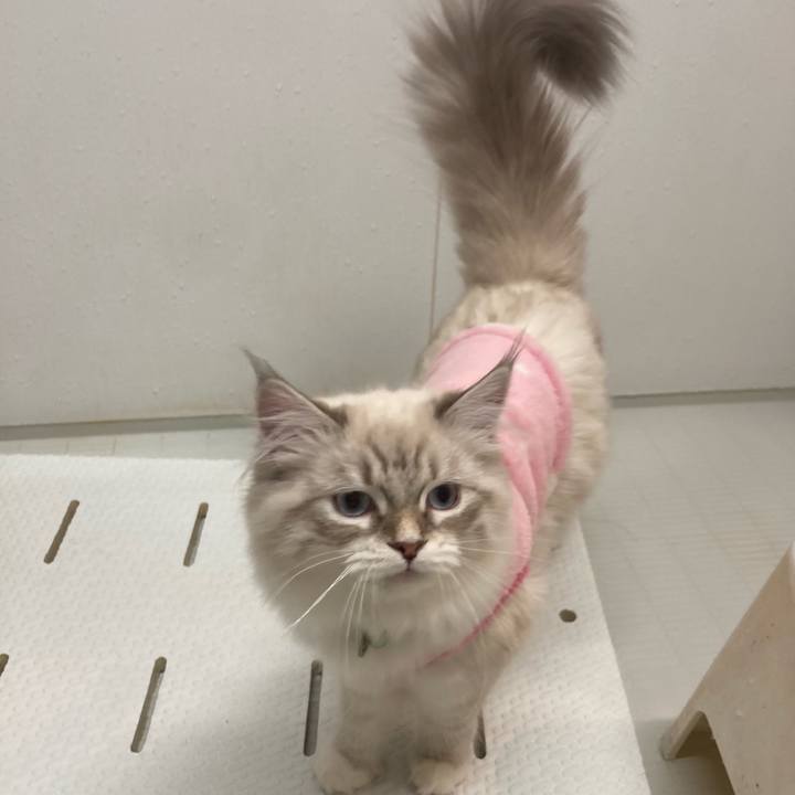 9c273748 36a4 4015 b544 dee7df49d01b 1674827059676