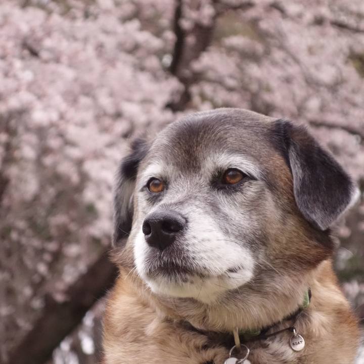 9c277d95 9650 47dd 8682 e69bc74ba026 1661300399036