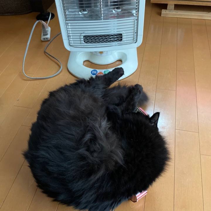 9c278920 7f57 4b51 942e 85fe0694bf14 1575289695145