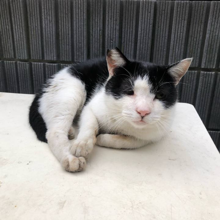 9c27929b 1cd2 4992 a591 5dfea6790493 1633431326134