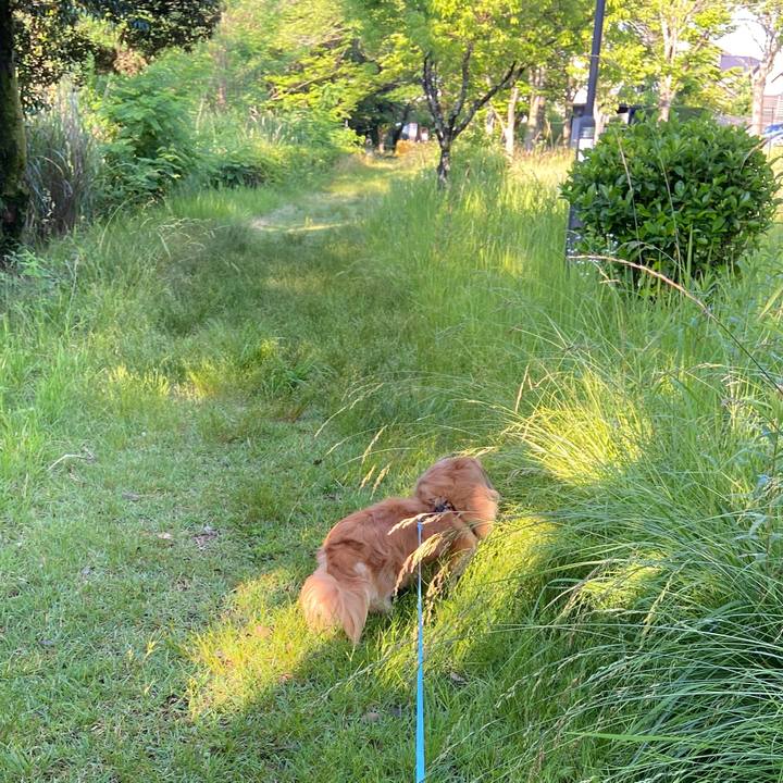 9c27a951 31a3 4a5b aaa4 546d989d8e19 1654118316213