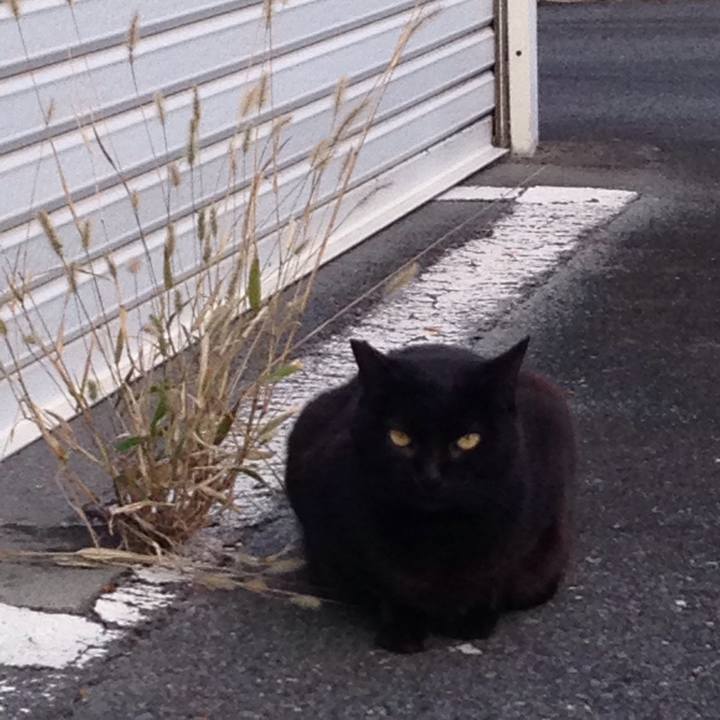 9c2831ec 2e7c 49ff b3c9 22e1b87648cf 1509719420422