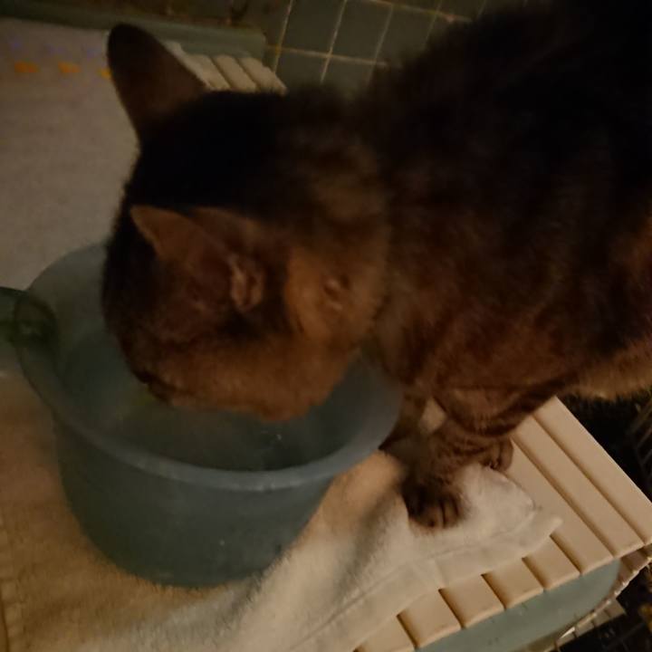 9c284418 35ac 4f34 9453 31489ba3e830 1568973128040