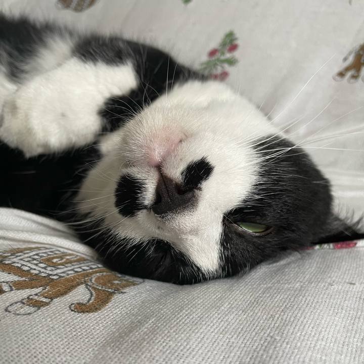 9c285490 f514 4eab 8b42 cdcd8476e198 1694150939489