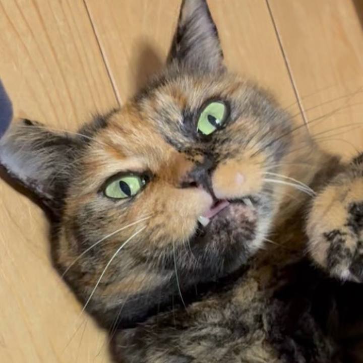 9c287bb5 5615 4f99 b25a e4406187f34f 1758316556133