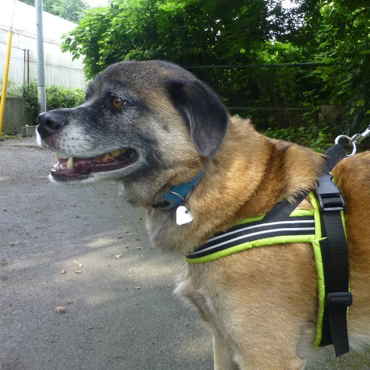 9c28b199 7a29 4c12 a07b cda5168755a4 1580303219547