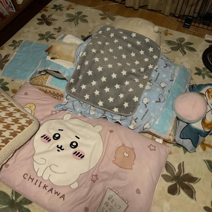 9c28b5bd 855a 4e3a 8900 f91a315f77db 1700147578717