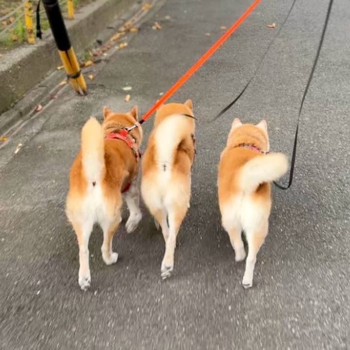 9c28b8b2 5e3a 4535 a12a 193b7e7efad5 1758296047649