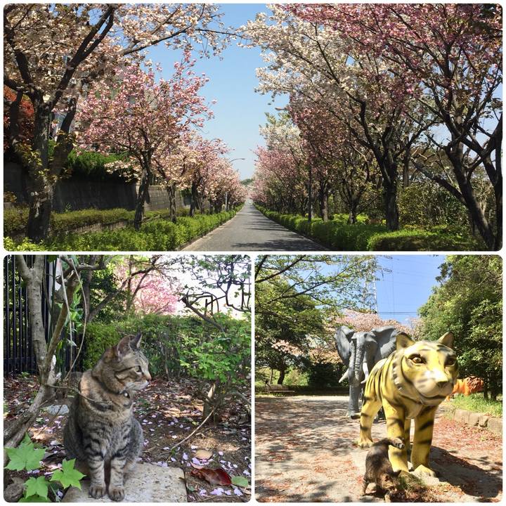 9c28de71 6ab0 4210 84d4 8a2ef197e09e 1523421548680