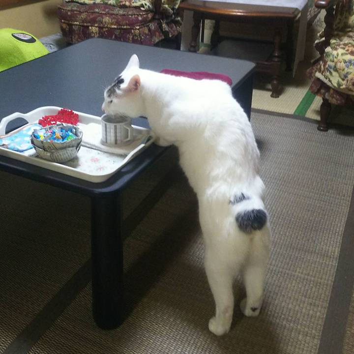 9c2904ac 6f1f 4318 b2c3 65eb64cf32b9 1568949286830