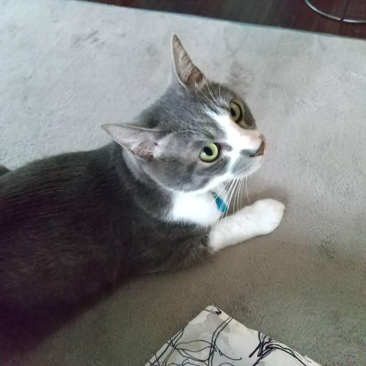 9c292c73 c9e9 410d 87ae d02cf24f1f10 1622411949012