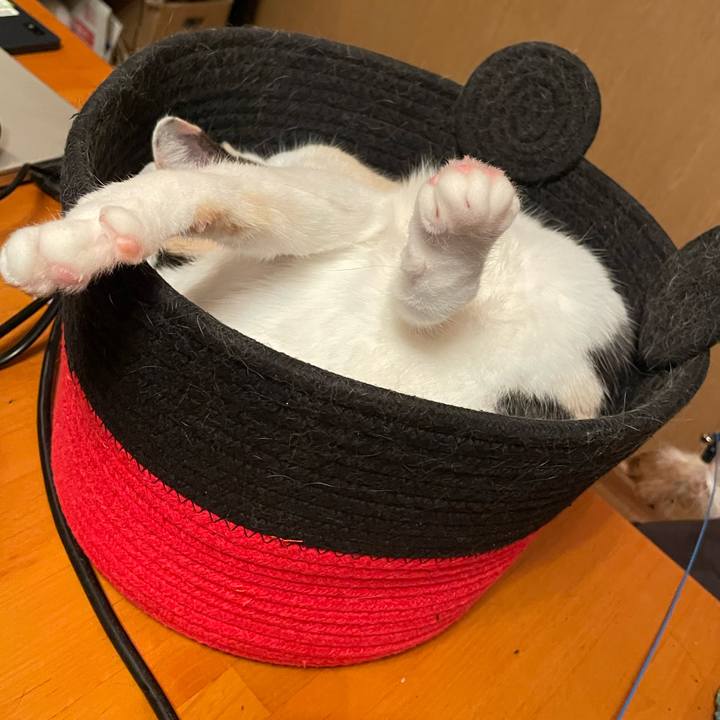 9c2951ca c4b1 413f 8ffd 0ca259543831 1743169821116