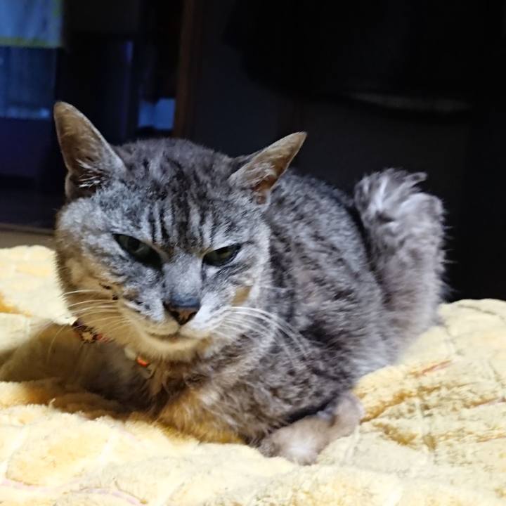 9c29624f 667f 44d0 a650 d80b79b4dceb 1594717529341