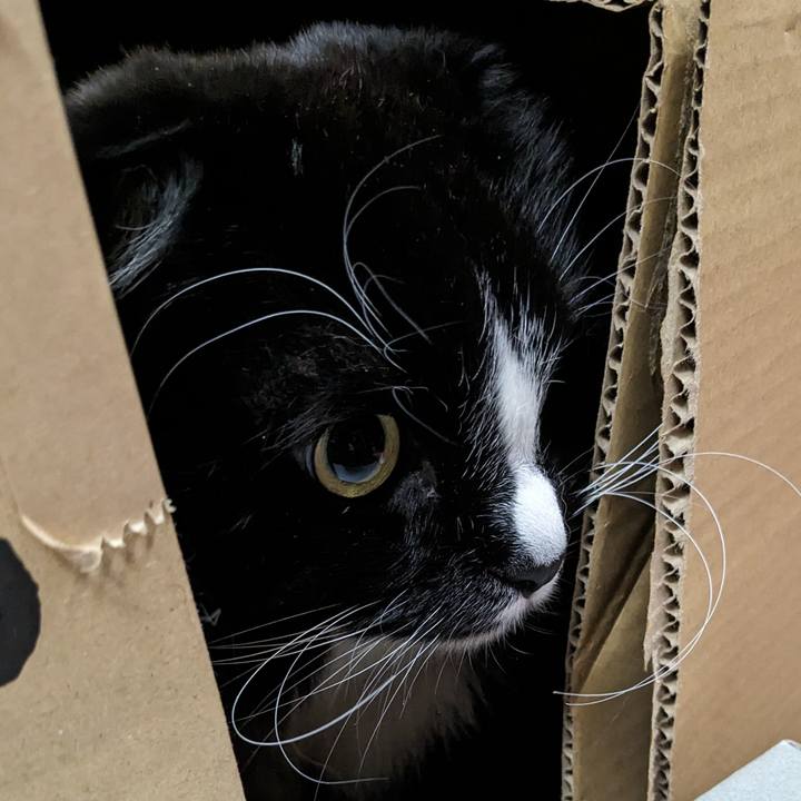 9c2972f4 7764 4cd8 b87d 2aa3814159a7 1711971247619