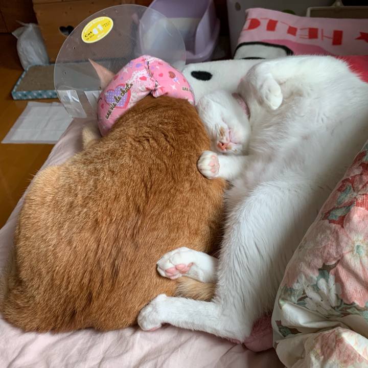 9c29998a a38e 4834 83e8 dbf7bea87fa2 1569106560597