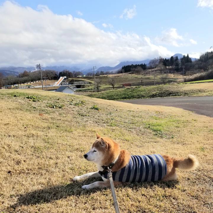 9c29ae30 a6b4 4bab 851b 1bfe9cf85218 1670474405876