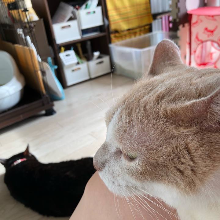 9c29be90 6735 4ac7 980e a29033c7ba3f 1599872163906