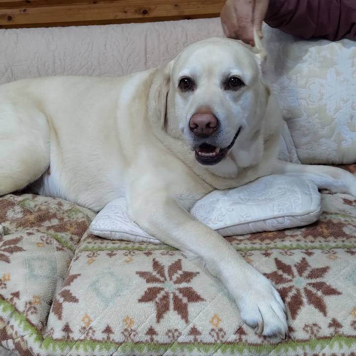 9c29c99f b528 4507 9e30 37077d230600 1710337272477