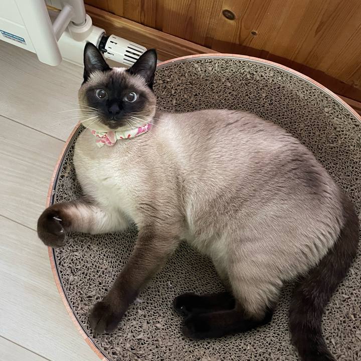 9c29cb29 4b7f 4abb 988a 894569f3464b 1719260087143