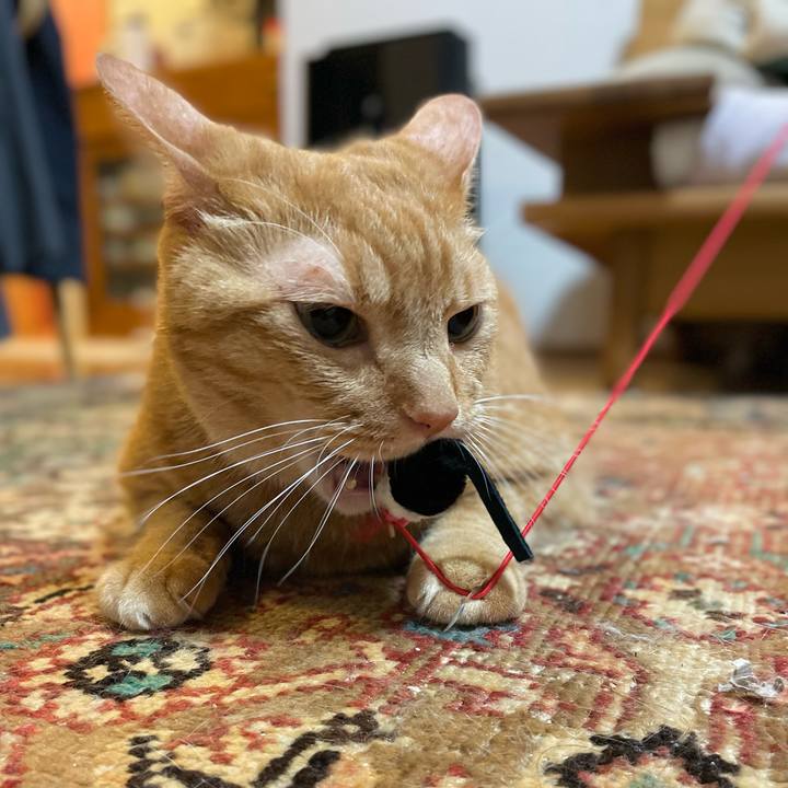 9c29d5d3 1b86 4db6 be15 11bc77823b21 1693912964559