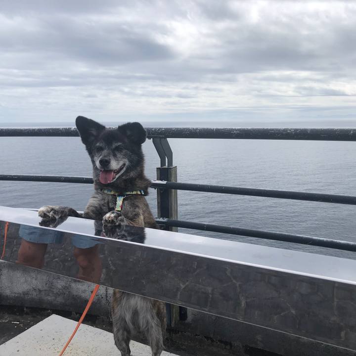 9c2a082b 9401 424a 9437 b5c08eba4d20 1685314543211