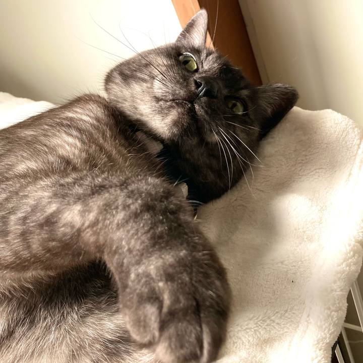 9c2a63e1 45c3 4736 9ce7 5e45a5ea08a2 1772343851347