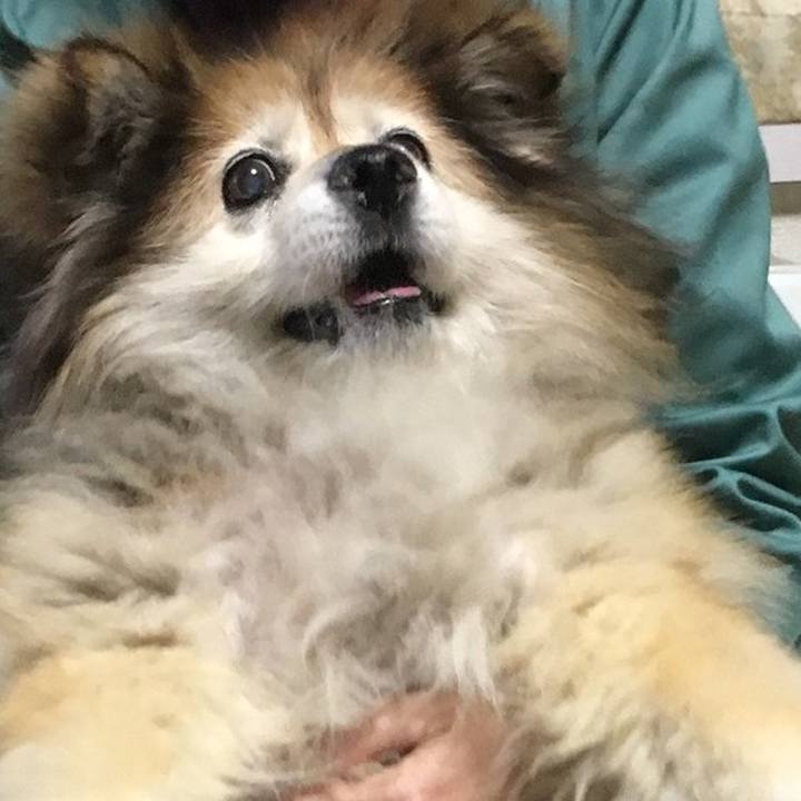 9c2a6cf8 59cf 49fb 847f f0250b43312e 1571718240971