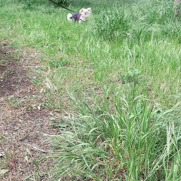 9c2aa81a 310a 4173 b59d 4c3b87cddab4 1713680331707