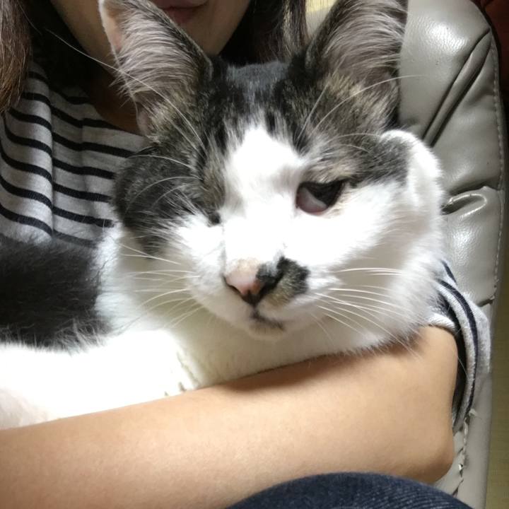 9c2aba78 5c9f 4c68 8e5f 75588a034f20 1561063921605