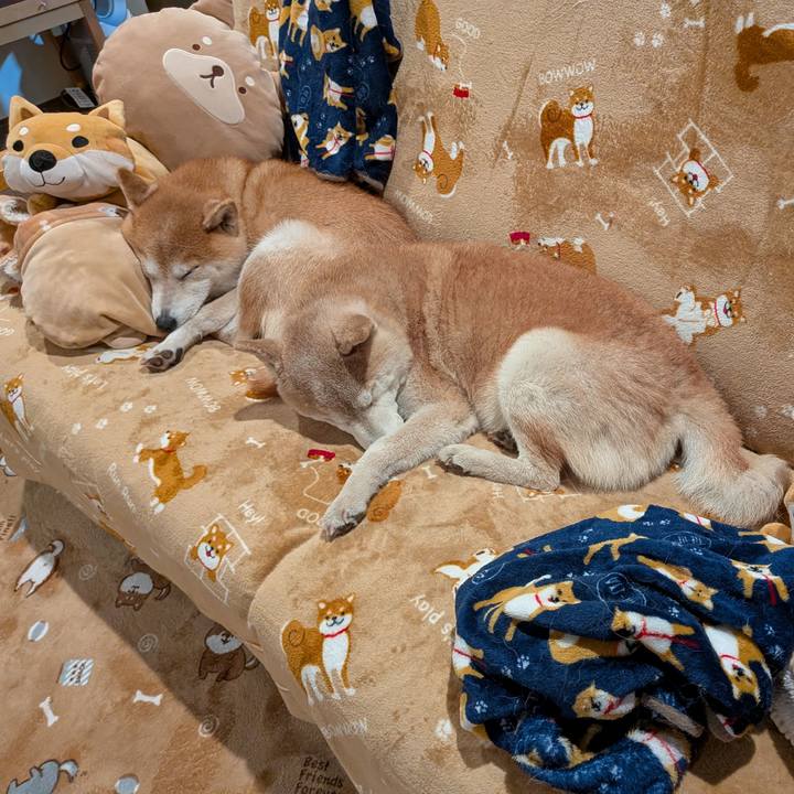 9c2adf1b e78e 4f4e 822d 5b2757f41358 1765715405321