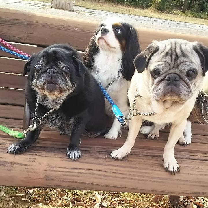 9c2ae111 a00a 417a 8e81 52db25aa1b73 1576343790431