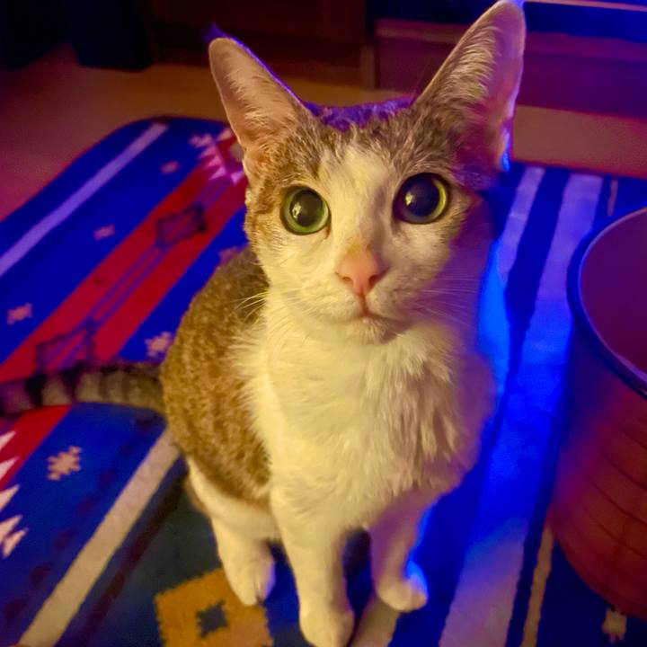 9c2af4a5 fc37 41b3 b98c 76e47aef2bd4 1630256613862