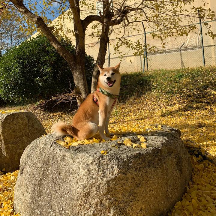 9c2b0648 7fef 4c6a 8c71 a8921ac5ef77 1605170526497