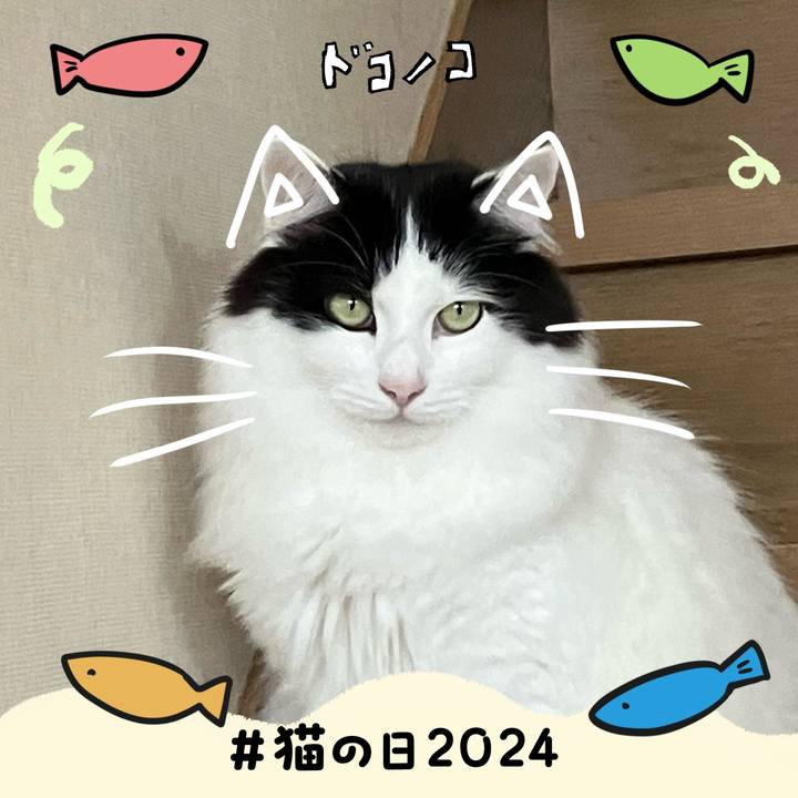 9c2b08bc def3 4e7e 9e96 7c534cc716a2 1708610225389