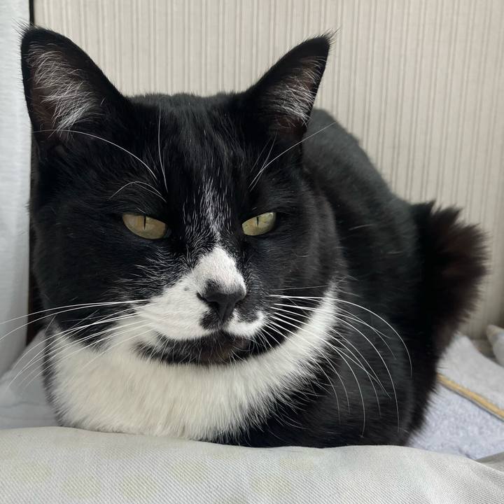 9c2b3327 1a11 43c3 8d76 ed0870e58e87 1746680524674