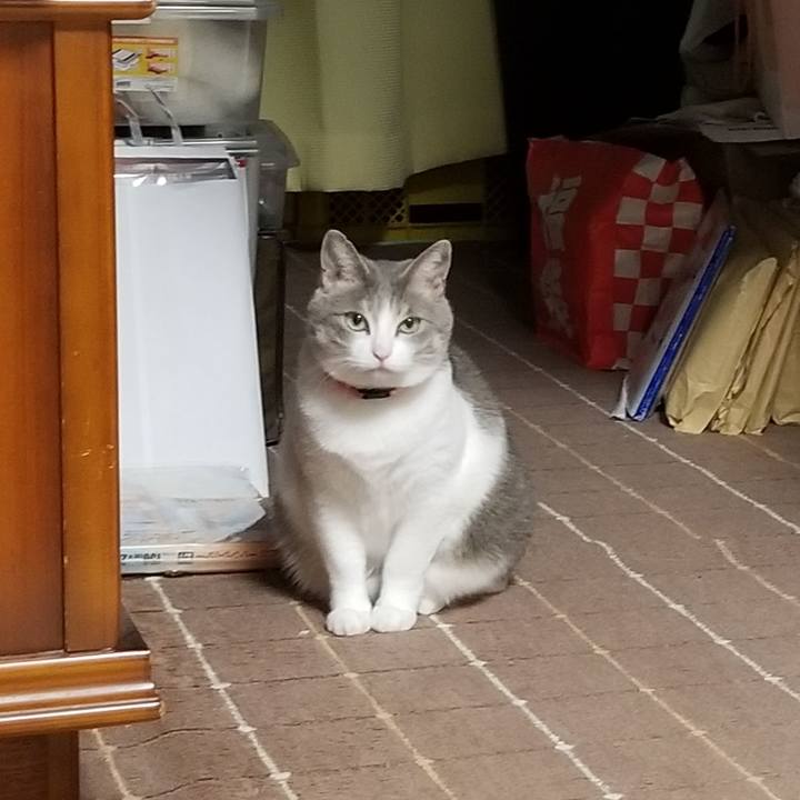 9c2b52b3 762b 4db5 9089 db6254334058 1575208176269