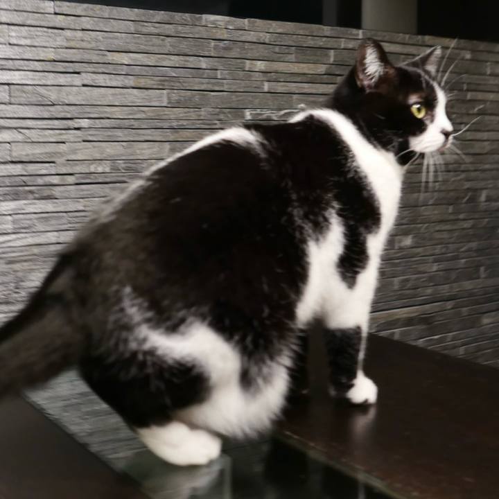 9c2b589c 6d2e 4196 bef5 140ec6971b1c 1771502801950