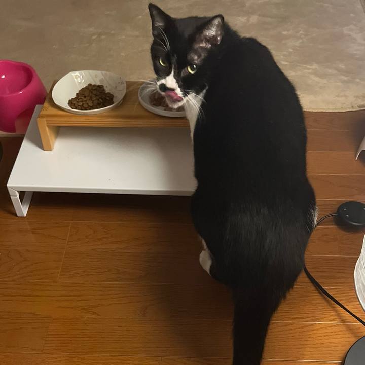 9c2b78be c47e 4c13 b800 174382016848 1699920822128