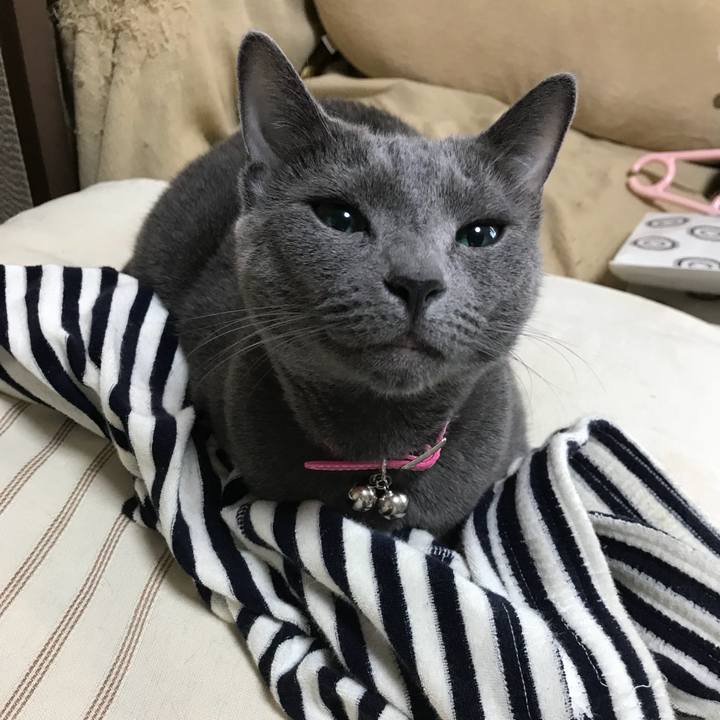 9c2b8e4a e747 49f8 9687 aaa3e9aa7177 1532662250412