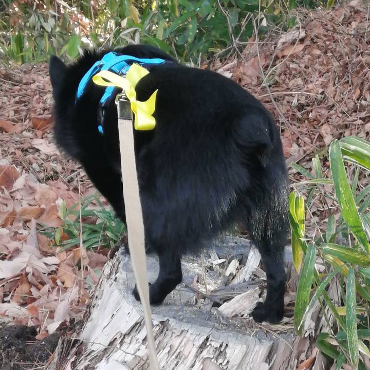 9c2ba2ce 93c4 4895 84cc 551879260b2c 1642204047670