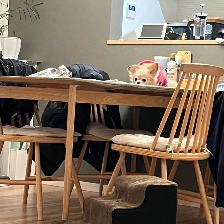 9c2bacea fa6b 4d67 8114 df5971a7e56d 1765282350422