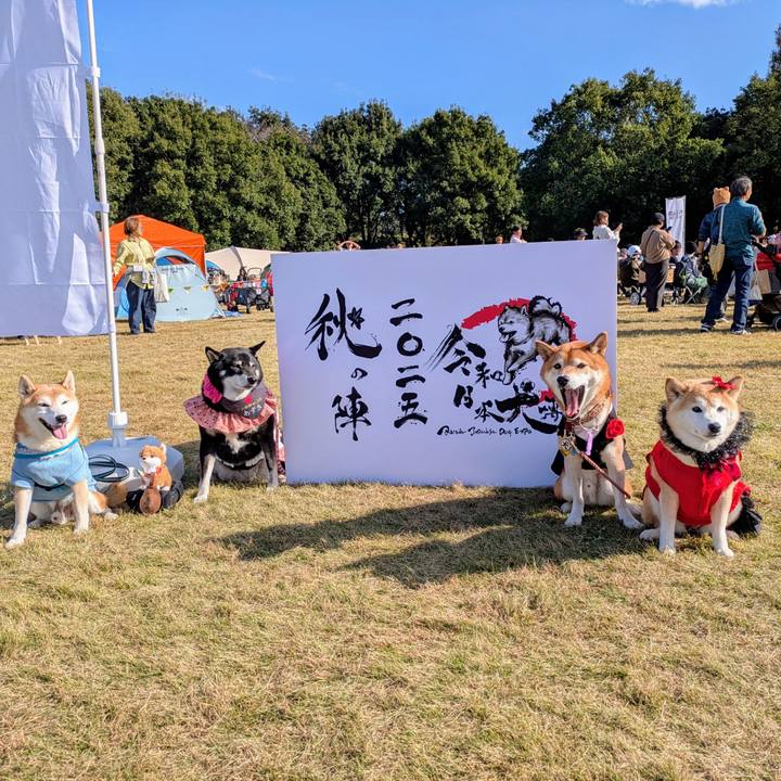 9c2bc46f bcad 426c b34b b7fa680c7054 1763284224869