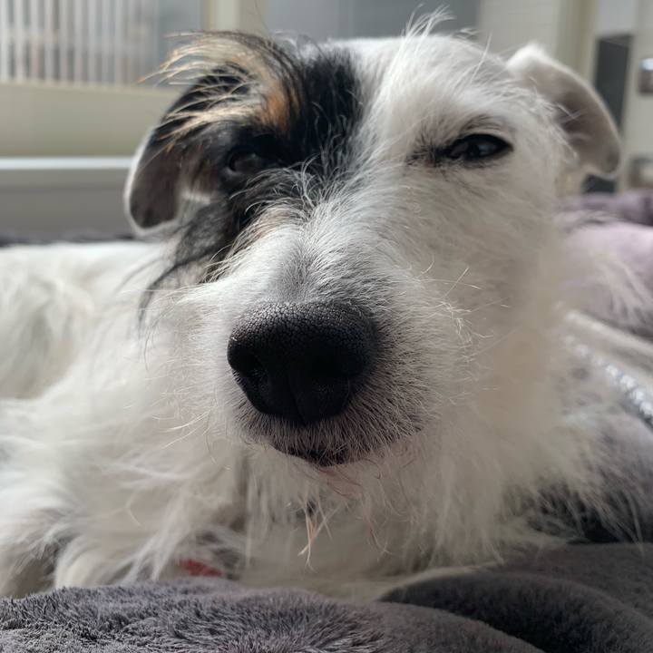 9c2bc498 1ef6 4297 8e73 248e65d3b596 1609906974293