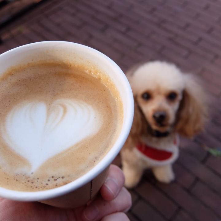 9c2bdd3b 152c 4bdc 8a38 c053f60383c0 1514037196228